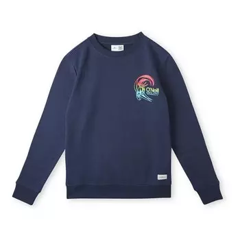 Толстовка Oneill Circle Surfer, синий
