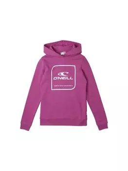 Толстовка ONEILL Cube, фиолетовый