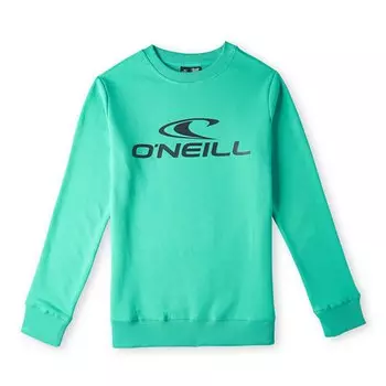 Толстовка Oneill N4750003 N4750003 Boy, зеленый