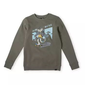 Толстовка Oneill Skate Dude, зеленый