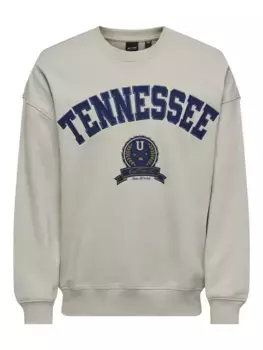 Толстовка ONLY & SONS "ONSLAWSON LIFE VINTAGE CREW NECK SWEAT", цвет Moonstruck