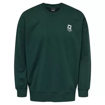 Толстовка Only & Sons Steve Life Rlx Emb Logo, зеленый
