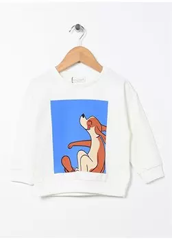 Толстовка Oversize с принтом для маленьких мальчиков с круглым вырезом цвета экрю 22FWB-05 Mammaramma, экрю