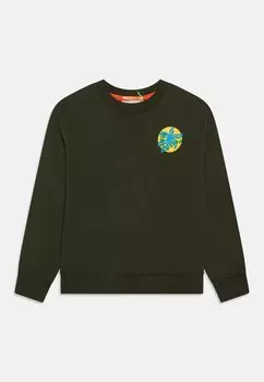 Толстовка OVERSIZED FIT ARTWORK Scotch & Soda, цвет seaweed green