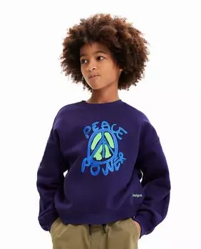 Толстовка оверсайз Boy's Peace Desigual, темно-синий