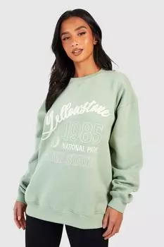 Толстовка оверсайз с надписью Petite boohoo, зеленый