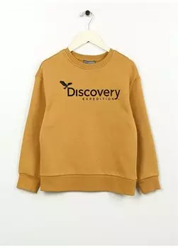 Толстовка оверсайз с принтом для мальчиков горчичного цвета D3WB-SWT29 Discovery Expedition, оранжевый