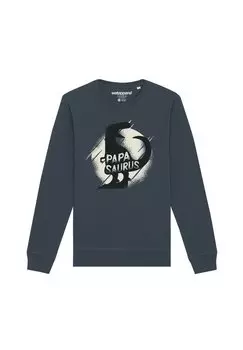 Толстовка PAPASAURUS watapparel, антрацит