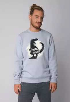 Толстовка PAPASAURUS watapparel, светло-голубой