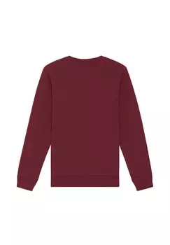 Толстовка PAPASAURUS watapparel, темно-красный