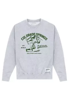Толстовка Park Fields Colorado Springs Henry Tiger, цвет heather grey