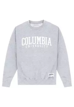 Толстовка Park Fields Columbia University Script Henry Tiger, цвет heather grey