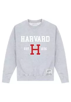 Толстовка Park Fields Harvard University Est 1636 Henry Tiger, вересковый серый