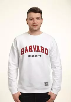 Толстовка PARK FIELDS HARVARD UNIVERSITY SCRIPT Henry Tiger, белый