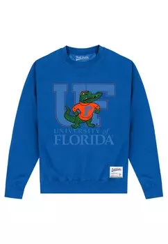 Толстовка Park Fields University Of Florida Uf Henry Tiger, цвет royal blue