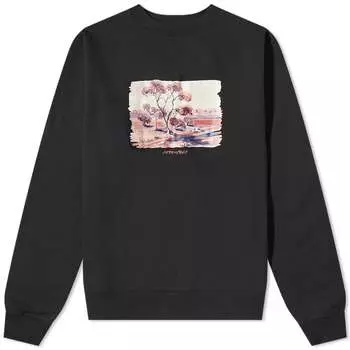 Толстовка Pass~Port Dorothy Crew Sweat