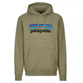Толстовка Patagonia, цвет Buckhorn Green