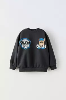 Толстовка paw patrol ZARA, антрацитово-серый