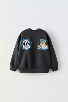 Толстовка paw patrol ZARA, антрацитово-серый
