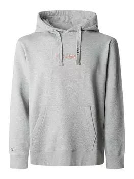 Толстовка Pepe Jeans Dexter, пятнистый серый