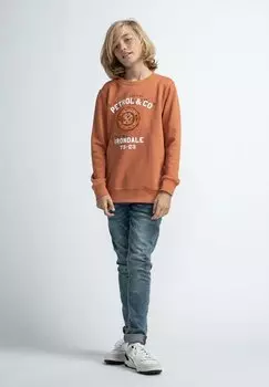 Толстовка Petrol Industries, цвет desert orange