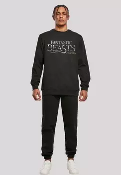 Толстовка PHANTASTISCHE TIERWESEN F4NT4STIC, черный