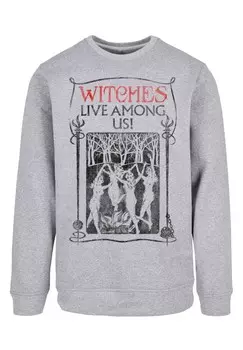 Толстовка PHANTASTISCHE TIERWESEN WITCHES LIVE AMONG US F4NT4STIC, серый