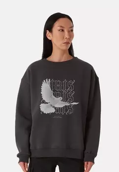 Толстовка PIGEON HEAVY stats, серый