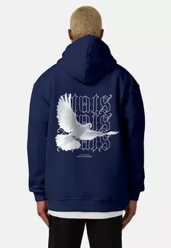 Толстовка PIGEON Stats, цвет blue