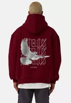 Толстовка PIGEON Stats, цвет red