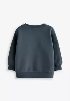 Толстовка PLACEMENT PRINT CREW NECK Next, синий