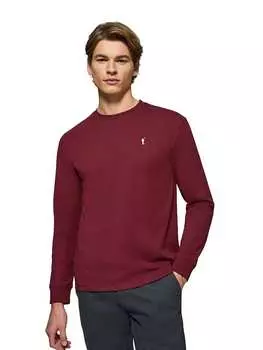 Толстовка Polo Club, красный