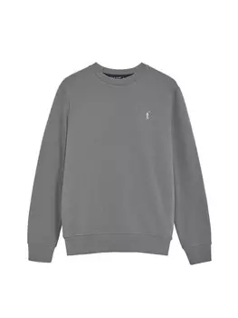 Толстовка Polo Club SWEATSHIRT, серый