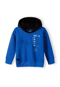 Толстовка PRINTED MINOTI, цвет blue