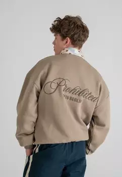 Толстовка PROHIBITED, серый