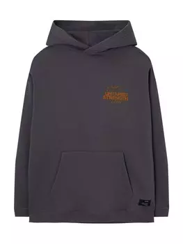 Толстовка Pull&Bear UNTAMED STRENGTH, темно-серый