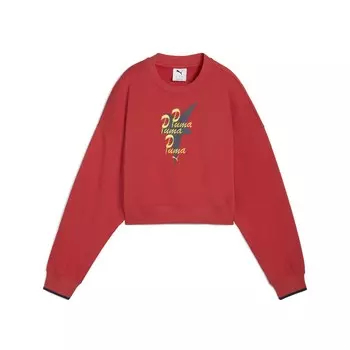 Толстовка PUMA Road To Unity, цвет Dark red