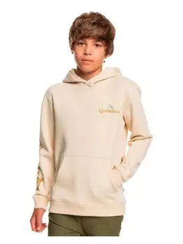 Толстовка Quicksilver Sweatshirt, белый