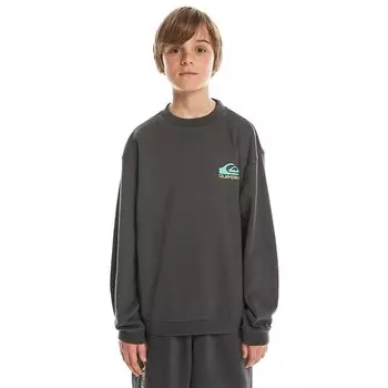 Толстовка Quiksilver Takeusbackcr, серый