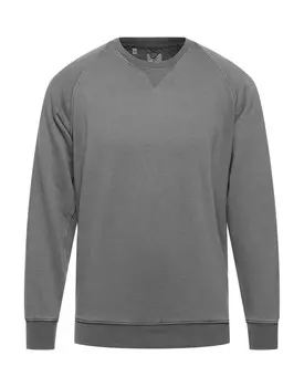 Толстовка R3D Wd, серый