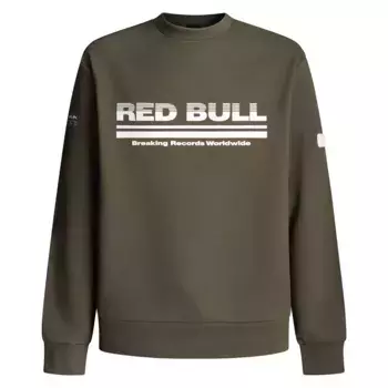 Толстовка Red Bull Racing Dynamic Fade, зеленый