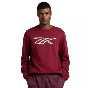 Толстовка Reebok 100071367, красный