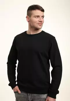 Толстовка REGULAR FIT CREWNECK Henry Tiger, черный