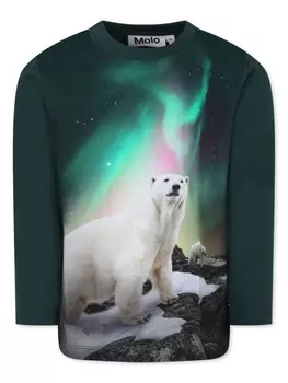 Толстовка Reif Molo, зеленый