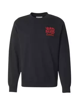 Толстовка REPLAY, черный