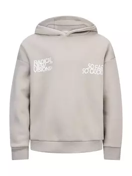 Толстовка Retour Jeans, серый