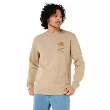 Толстовка Rip Curl Aots Cody Welsh, бежевый