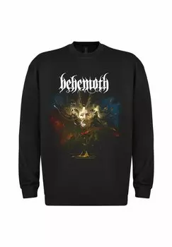 Толстовка rockshirts, черный