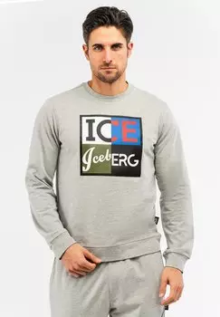Толстовка ROUNDNECK WITH BIG ICE ICEBERG, светло-серый
