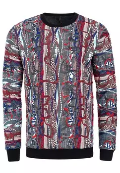 Толстовка Rusty Neal, разноцветный